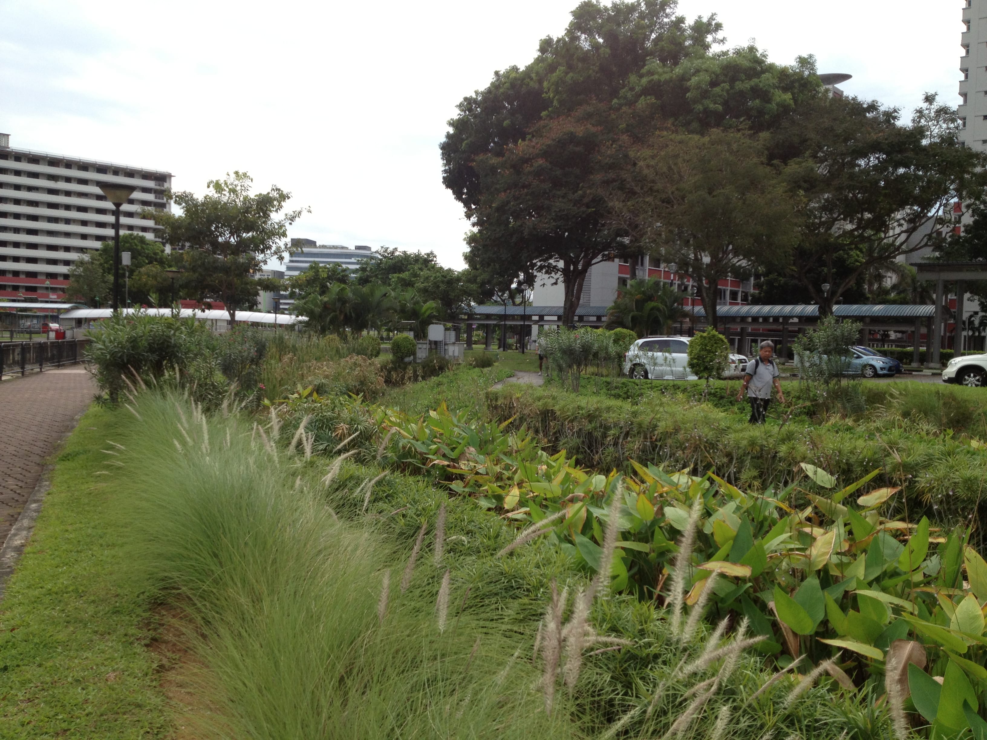 A landscaped urban area with tall grass, shrubs, trees, parked cars, buildings, and a walkway.